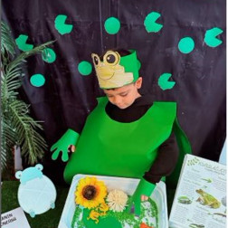 Kurbağaların Renkli Dünyası