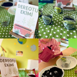 Dereotu ekimi yapıyoruz🍀