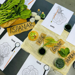 🌱 Doğayı Keşfediyoruz! Minik Bilim İnsanları İş Başında