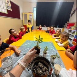 🌱 Sevgiyle Ektik, Bilinçle Büyüyoruz