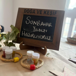Sonbahar Yıldızı Tasarlıyoruz