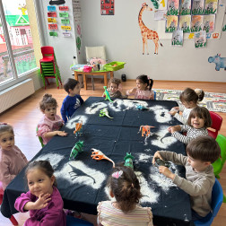 Gölgeleme Etkinliği