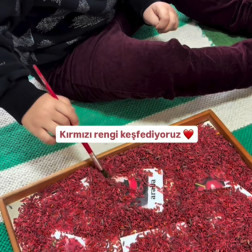 Kırmızı Rengi Keşfediyoruz