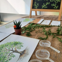 Fen ve Doğa Köşesi – Keşif Zamanı