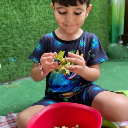 Fındık Soyma – Doğal Yaşam Deneyimi