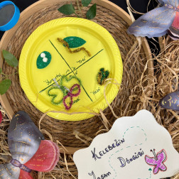 Kelebeğin Yaşam Döngüsü Çalışması