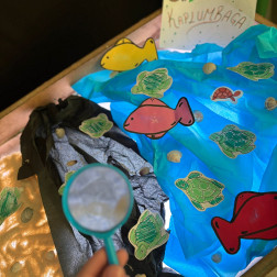 Kaplumbağa ve Balıklar Araştırma Alanı