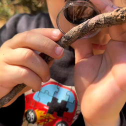 Orman Etkinliklerimiz Dolu Dizgin Devam Ediyor