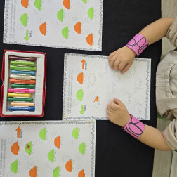 Kaplumbağalarla Sağ–Sol Yön Çalışması