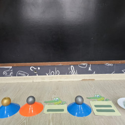 Timsahlarla Hız–Yavaşlık Kavramı Çalışması