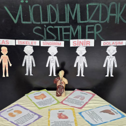 Vücudumuzdaki Sistemler Tanıtım Alanı