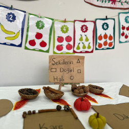 Şekillerin Doğal Hâllerini Tanıma Çalışması