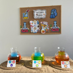 Renk Karışımları Deneyi – “Bir Bilim Günü”