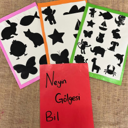 Neyin Gölgesi? – Gölge Eşleştirme Oyunu