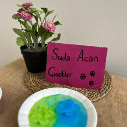 Suda Açan Çiçekler Deneyi