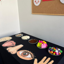 Beş Duyumuz İstasyonu – Keşfetme Alanı