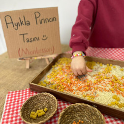 Ayıkla Pirincin Tanesi – Montessori Duyusal Çalışma