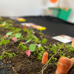 Regio Emilio Cocuğun Yüz Dili Projesi