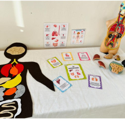 Regio Emilio Cocuğun Yüz Dili Projesi