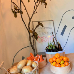 Sebzelerle Örüntü Yolculuğu