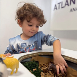 Hayvanları Tanıyorum Etkinliği