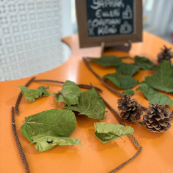 Minik Ellerden Orman Köyü Evleri