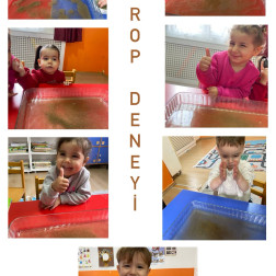 Mikrop Deneyi Etkinliği