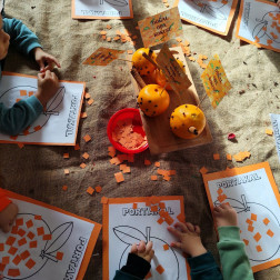 Doğal Oda Kokusu Atölyemiz