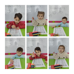 Dikkat ve Görsel Algı Kavram Çalışmaları