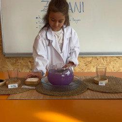 Deney Zamanı Etkinliği