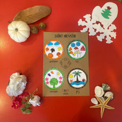 Mevsimleri Renklerle Keşfediyoruz 🍁🌸☀️❄️