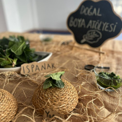 Yön Bulma – Kodlama Mantığı Çalışması