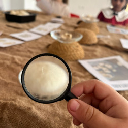 Kelebeğin Yaşam Döngüsü Atölyesi