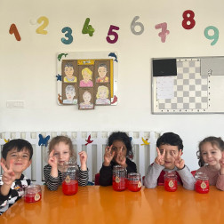 Kan Grupları – Bilim Şişeleri Deneyi