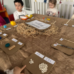 Zıt Kavramlarla Öğrenme Yolculuğu: Miniklerin Keşif Atölyesi!