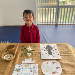 Karıncaların Sırrını Çözüyoruz: Minik Bilim İnsanları İş Başında!