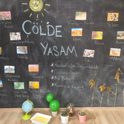 ÇÖLDE YAŞAM