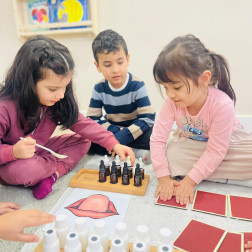 Duyuların Gizemli Dünyasında Keşif Zamanı!