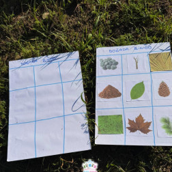 Doğada Bingo: Keşfederek Öğreniyorum!