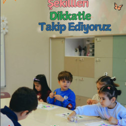 Şekillerle Dolu Bir Keşif Yolculuğu!