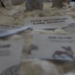 Kutbun Büyülü Dünyasına Yolculuk: Kış Hayvanlarını Keşfediyoruz