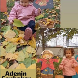 Sonbahar Keşfi ve Doğa Gözlemi