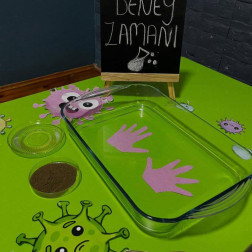 Hijyen Eğitimi Deneyi: Mikroplar ve El Yıkama