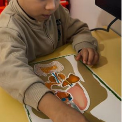 İnsan Vücudu Organlarını Keşfetme Etkinliği