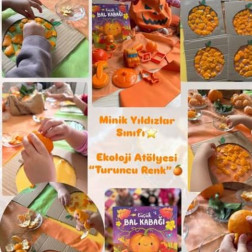 Turuncu Renkle Doğayı Keşfediyoruz