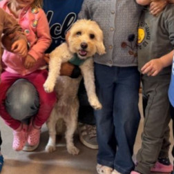 HAYVANLARI KORUMA GÜNÜ