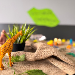 🌿 Ormanda Gezi – Doğa Keşfi