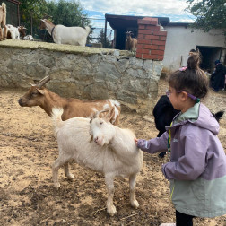 KEÇİ ÇİFTLİĞİ GEZİSİ