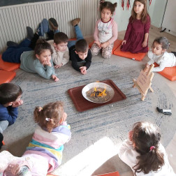 KARBON YILANI DENEYİ