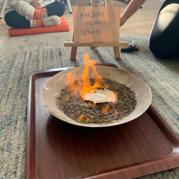 KARBON YILANI DENEYİ